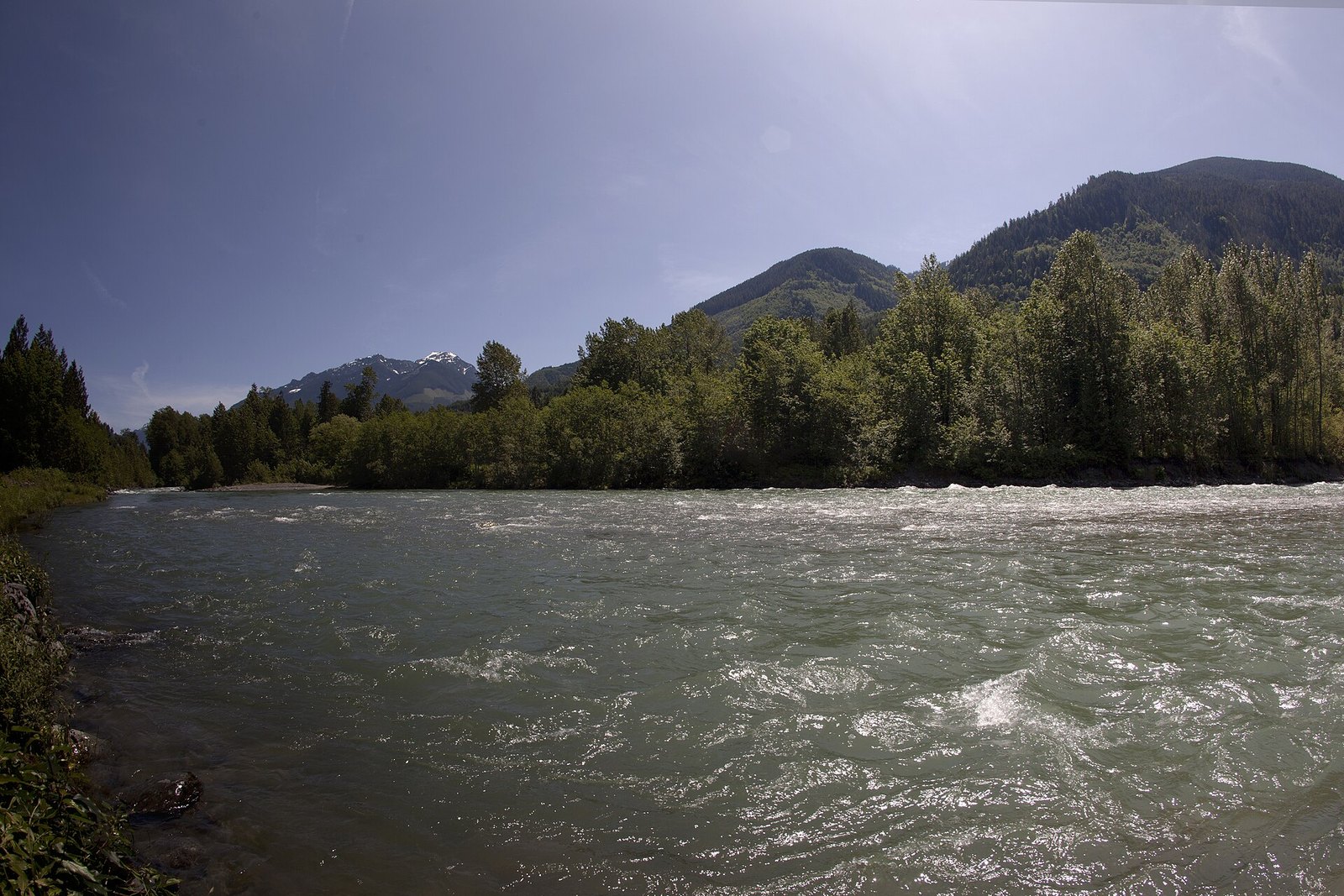 Fast glacial river below forested mountains in Chilliwack River Valley