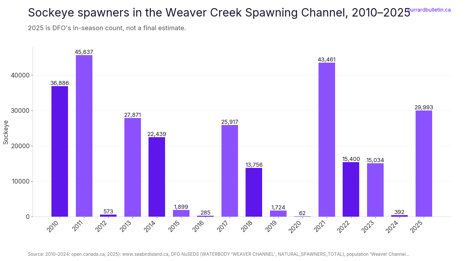 Sockeye spawners in the Weaver Creek Spawning Channel, 2010–2025