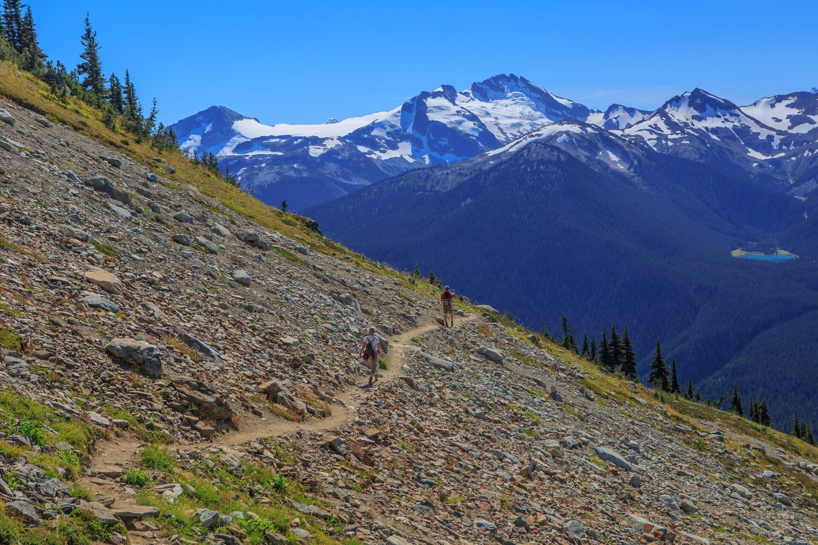High Note Trail (Whistler Mountain)