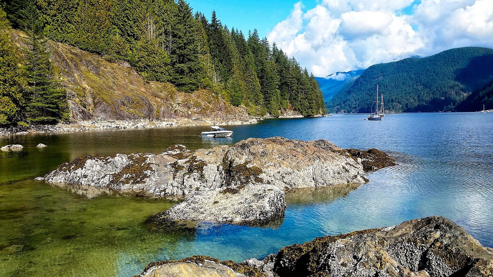 Rocky barnacled shoreline and moored boats on forested Indian Arm