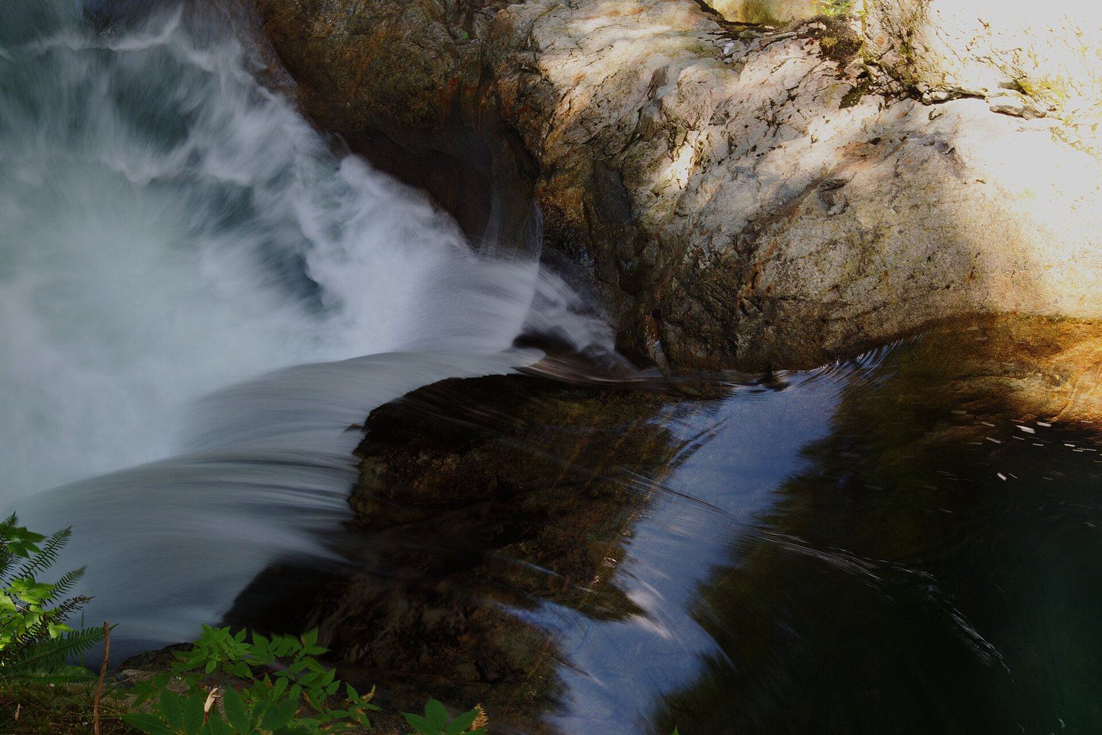 Twin Falls Loop and Twin Falls Bridge (Lynn Canyon Park)
