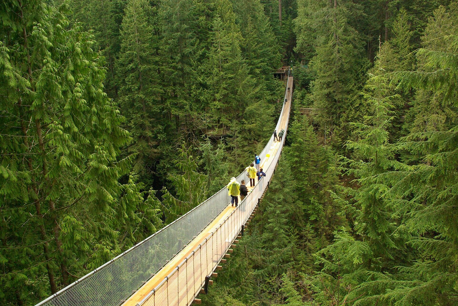 For Comparison: Capilano Suspension Bridge Park (Capilano Road)