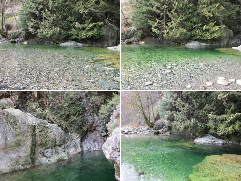 Skip the $77 Bridge: Lynn Canyon’s Suspension Bridge Costs Nothing