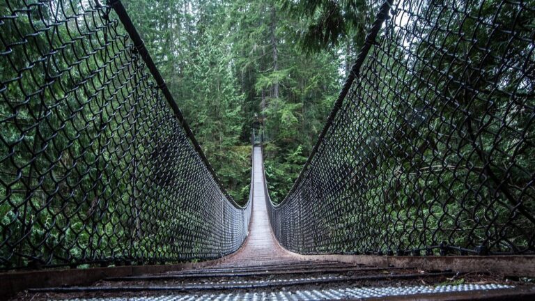 Skip the $77 Bridge: Lynn Canyon's Suspension Bridge Costs Nothing