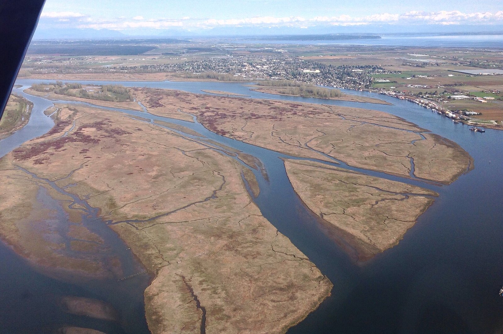 Aerial view of Fraser River delta marshes with Ladner beyond