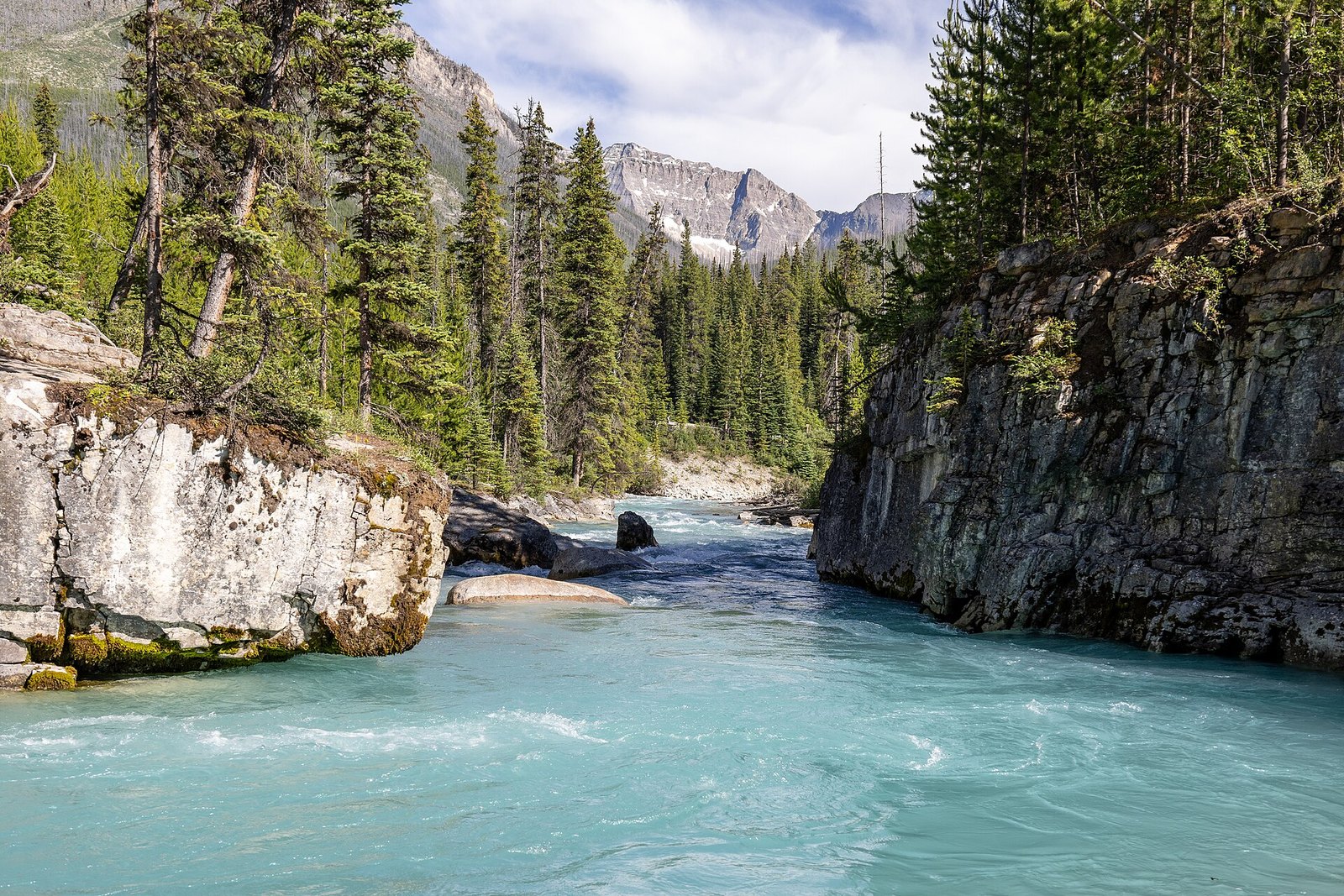 Turquoise creek flowing through rocky gorge in Kootenay National Park