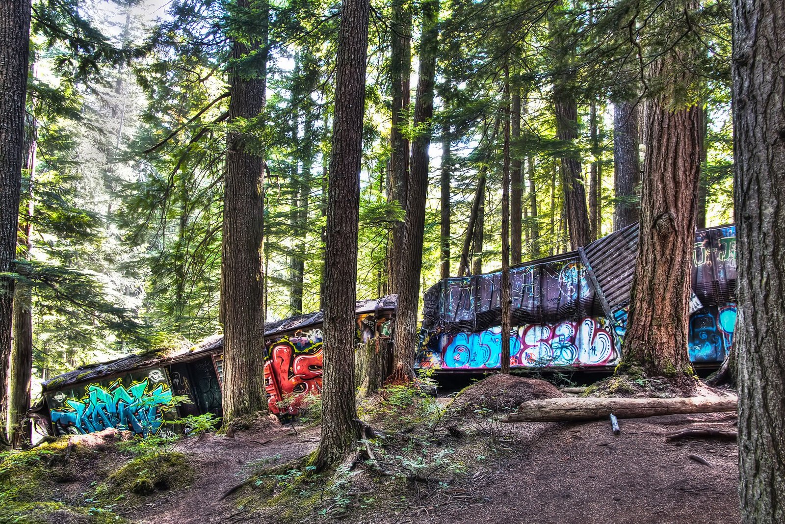 Whistler Train Wreck (Cheakamus Crossing)