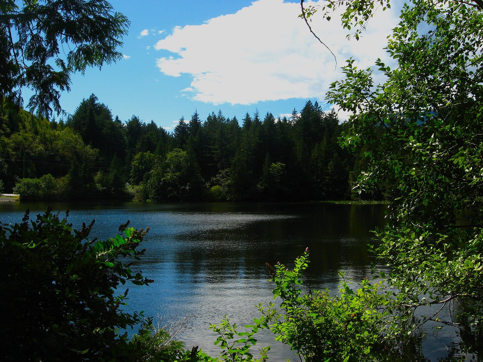 Murrin Provincial Park (Browning Lake)