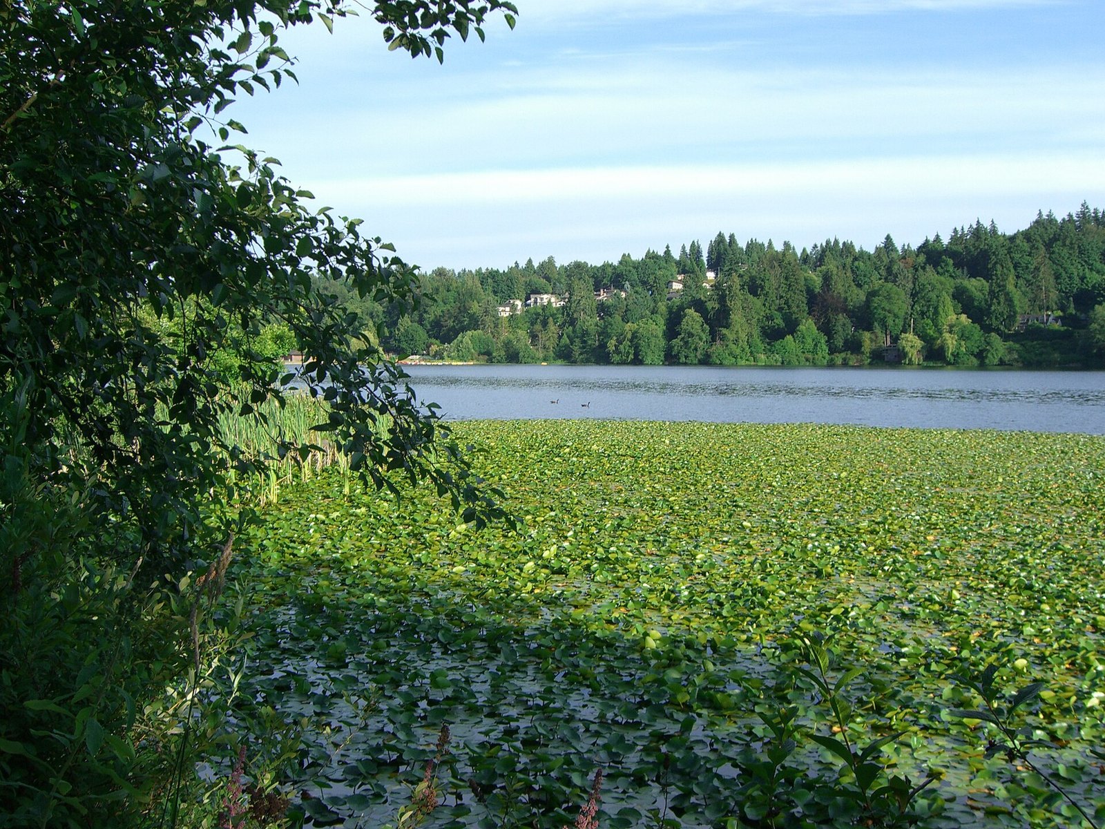 Deer Lake Park (Burnaby)