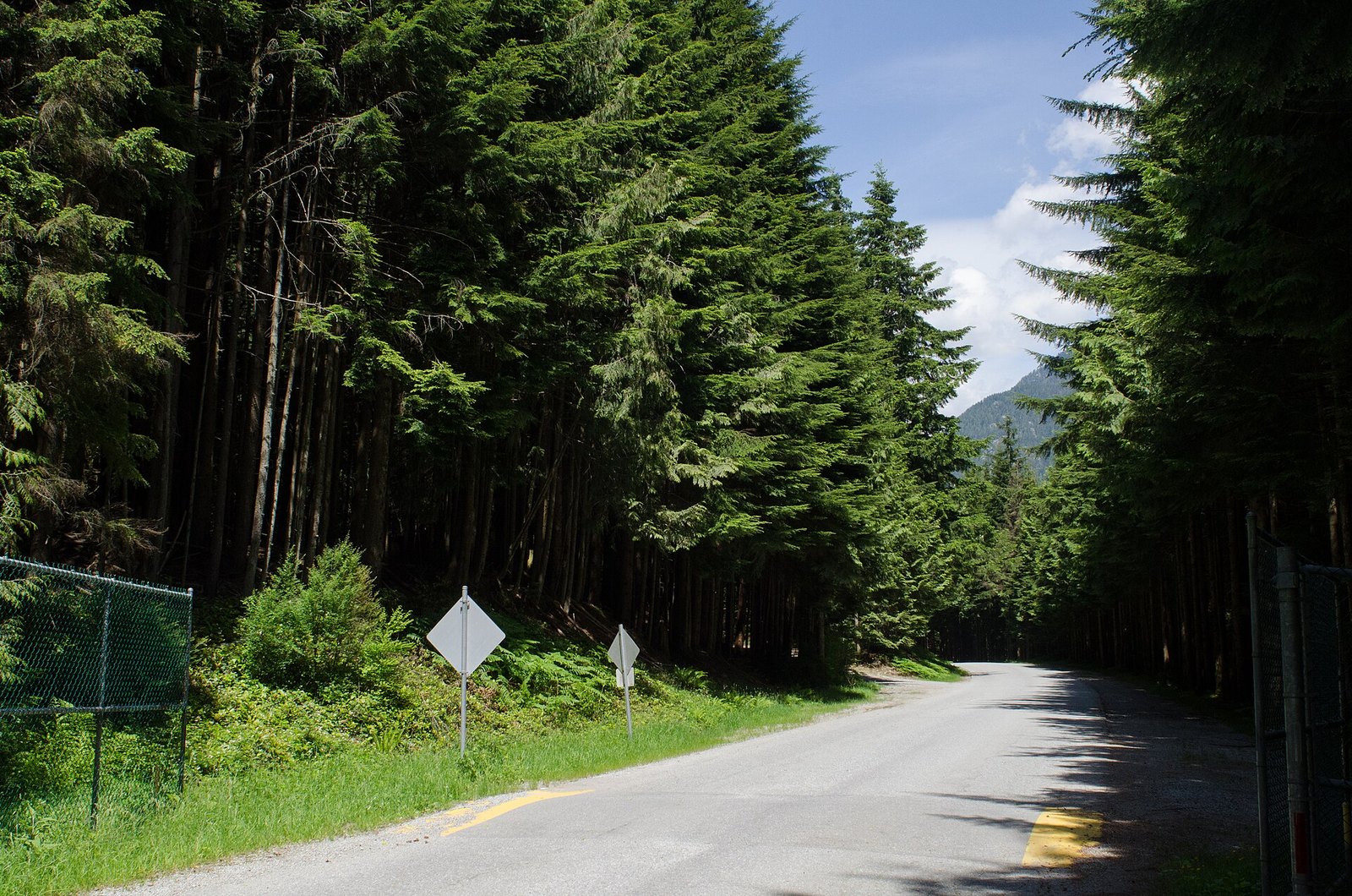 Lower Seymour Conservation Reserve (North Vancouver)