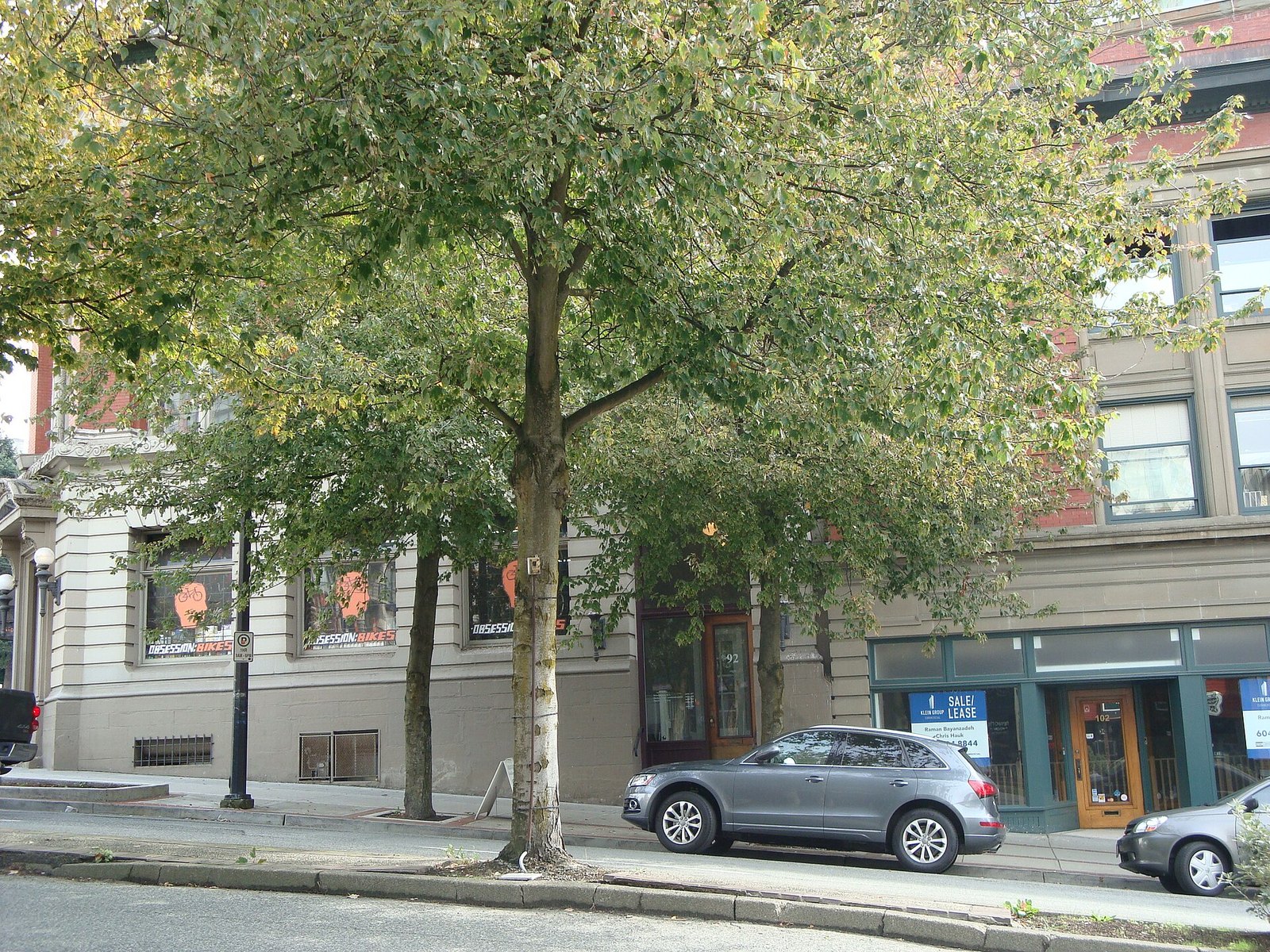 Lonsdale Avenue (North Vancouver)